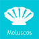Moluscos 